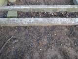 image of grave number 376059